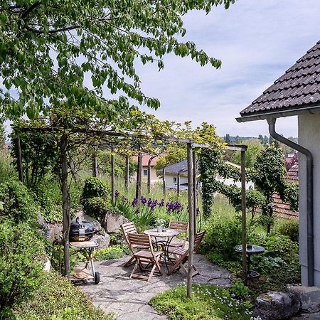 Busingen am Hochrhein Zimmer Paradiso מראה חיצוני תמונה
