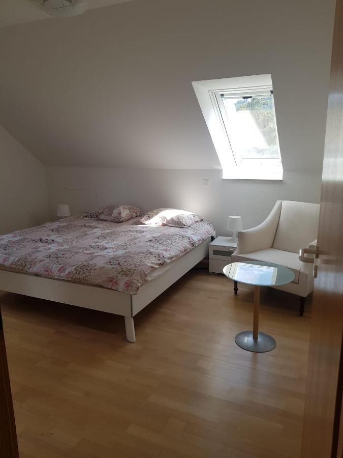 Busingen am Hochrhein Zimmer Paradiso מראה חיצוני תמונה