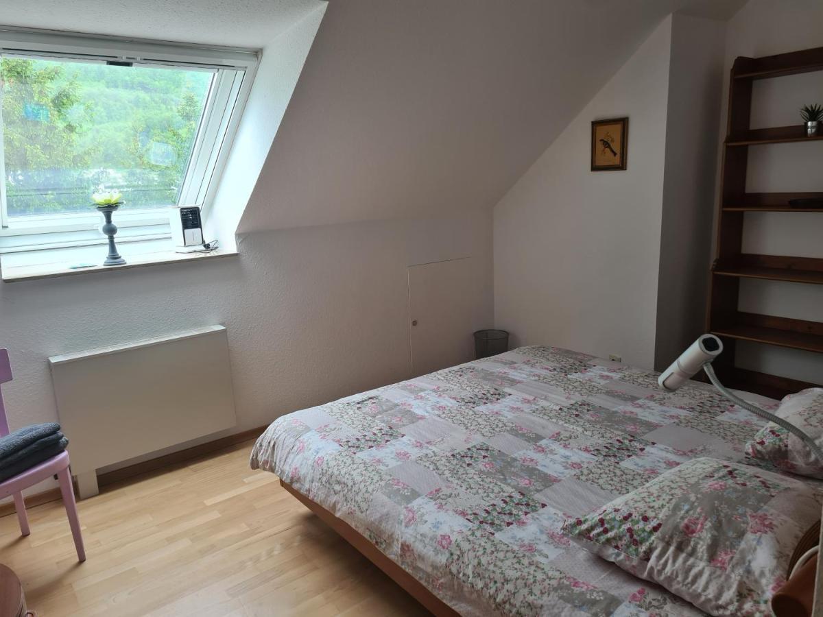 Busingen am Hochrhein Zimmer Paradiso מראה חיצוני תמונה