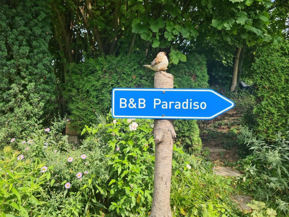Busingen am Hochrhein Zimmer Paradiso מראה חיצוני תמונה